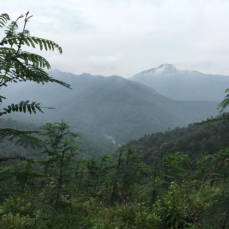 Vanilla County Heritage Plantation Bungalow Vagamon Εξωτερικό φωτογραφία