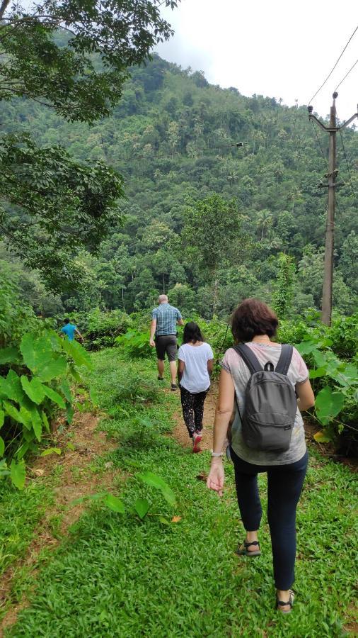 Vanilla County Heritage Plantation Bungalow Vagamon Εξωτερικό φωτογραφία