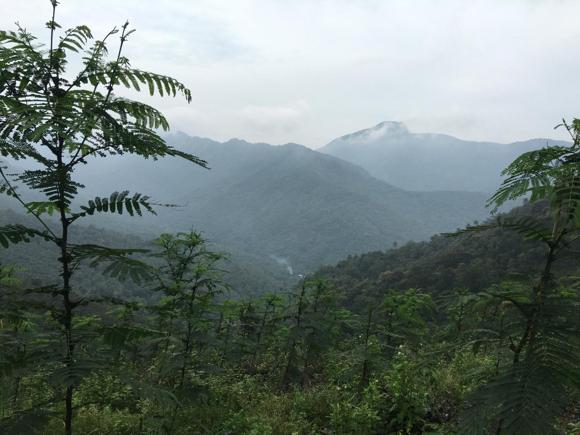 Vanilla County Heritage Plantation Bungalow Vagamon Εξωτερικό φωτογραφία